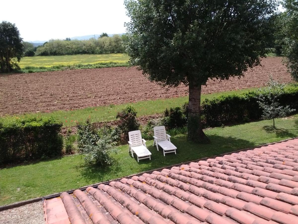 Agriturismo La Ripa Villa Reggello Exterior photo